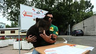 Фото: Екатерина Смолихина / amic.ru