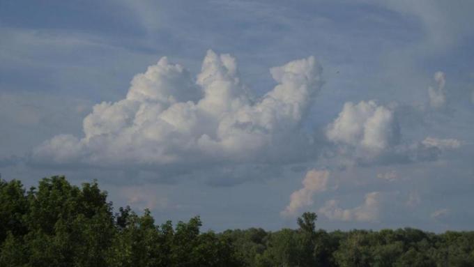 Фото: Вячеслав Мельников / amic.ru