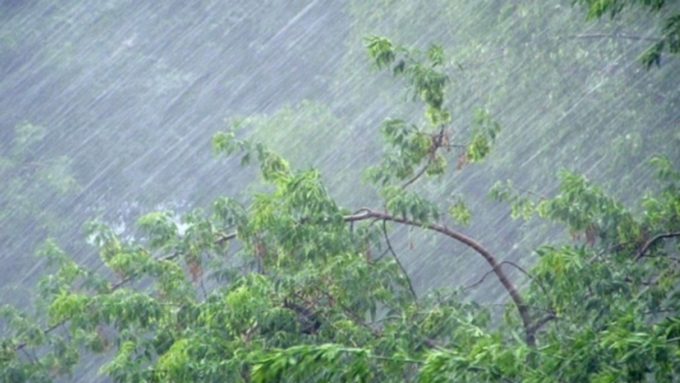 Фото: из архива amic.ru