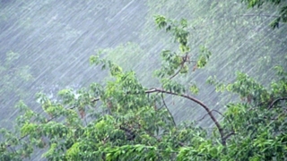 Фото: из архива amic.ru