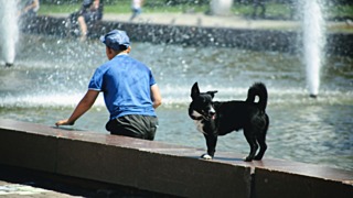 Фото: Екатерина Смолихина / amic.ru