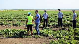 Репортаж из женской колонии, где сажают огурцы и ходят в отпуск