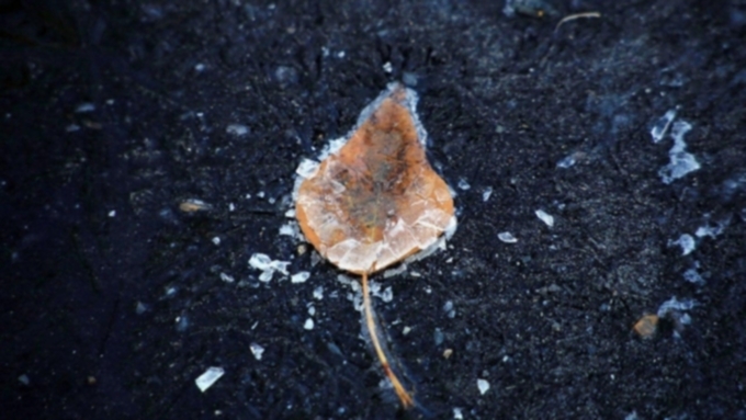 Фото: Екатерина Смолихина / amic.ru