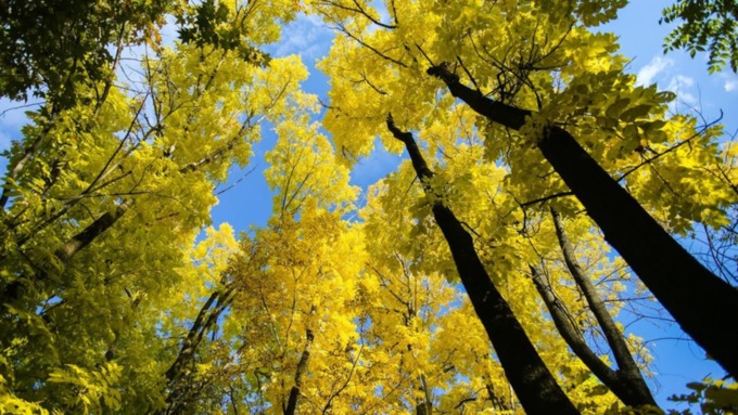 Фото: Екатерина Смолихина/ amic.ru