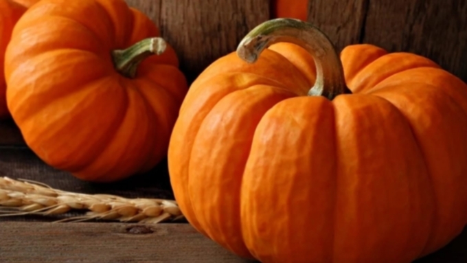 Фото: из архива amic.ru