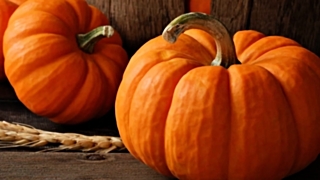 Фото: из архива amic.ru