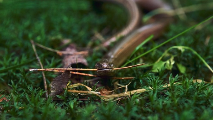 Фото: pixabay.com                 