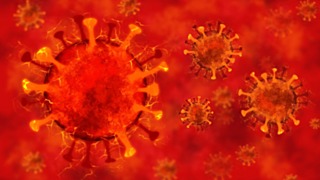 Фото: pixabay.com