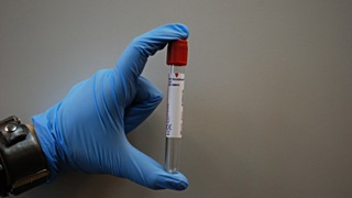 Фото: pixabay.com