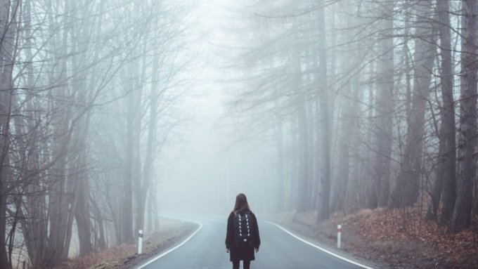 Туман / Фото: pixabay.com                     