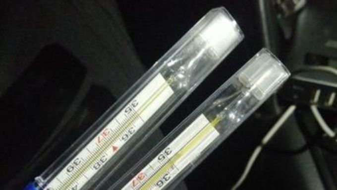 Фото: Вячеслав Мельников / amic.ru