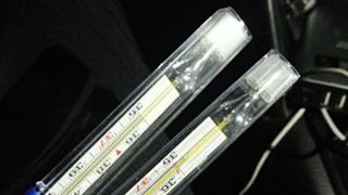 Фото: Вячеслав Мельников / amic.ru