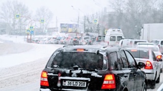 Фото: из архива amic.ru