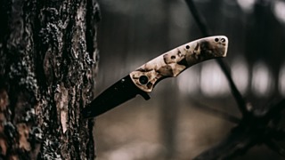 Фото: unsplash.com