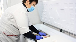 Фото: amic.ru / Екатерина Смолихина