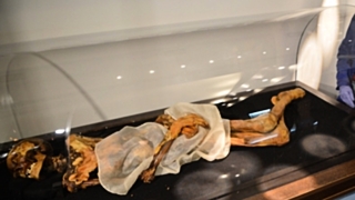 Фото: из архива amic.ru