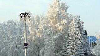 Фото: архив amic.ru 