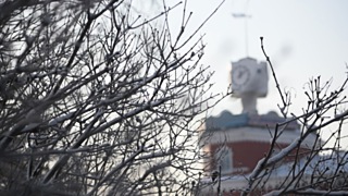 Фото: amic.ru