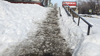 Фото: amic.ru / Полина Жданова