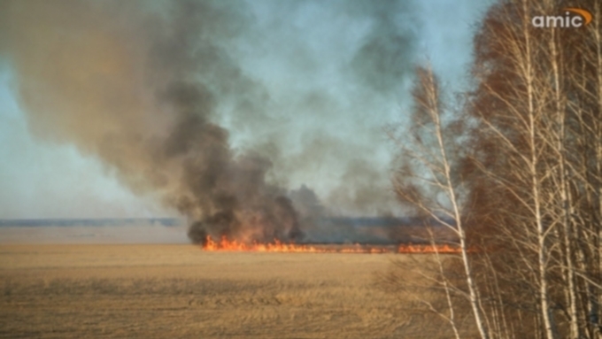 Фото: Екатерина Смолихина / amic.ru