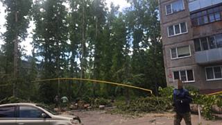 Фото: Егор Галкин / amic.ru