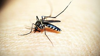 Фото: pixabay.com