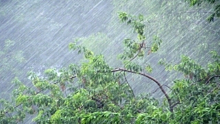 Фото: из архива amic.ru