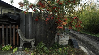 Частный домик / Фото: amic.ru