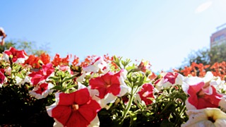 Фото: amic.ru / Екатерина Смолихина