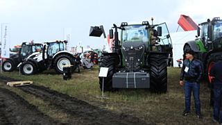 На выставке "День сибирского поля" / Фото: Екатерина Смолихина / amic.ru