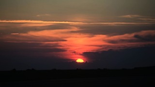 Фото: Екатерина Смолихина / amic.ru