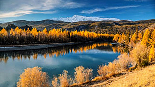 490132 size4 ждун у телефона картинки