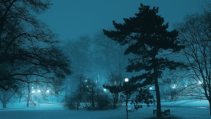 Зима / Фото: pexels.com