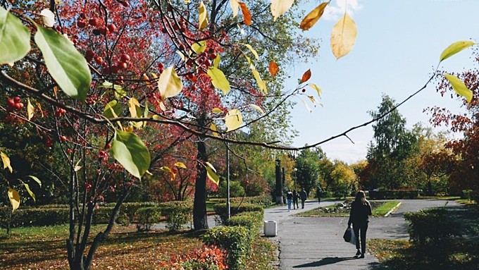 Фото: Екатерина Смолихина / amic.ru