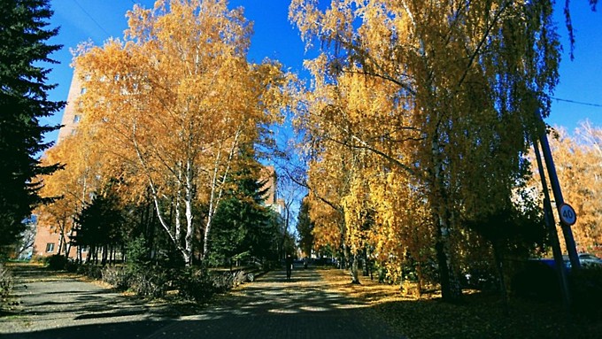 Фото: Екатерина Смолихина / amic.ru