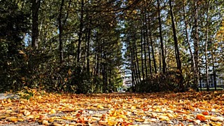 Фото: Екатерина Смолихина / amic.ru