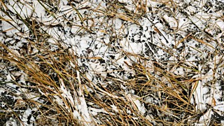 Фото: Екатерина Смолихина / amic.ru