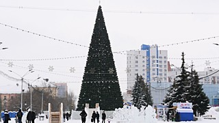 Новогодняя елка на пл. Сахарова / Фото: Екатерина Смолихина / amic.ru 