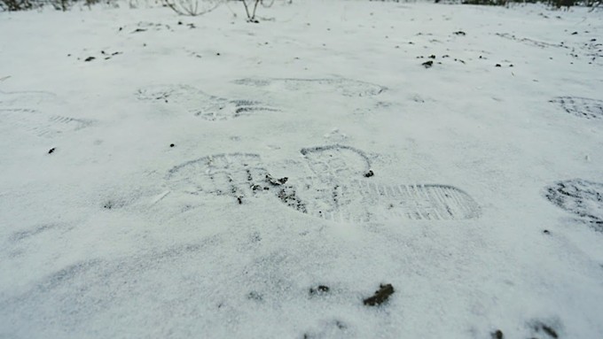 Фото: Екатерина Смолихина / amic.ru