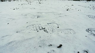 Фото: Екатерина Смолихина / amic.ru