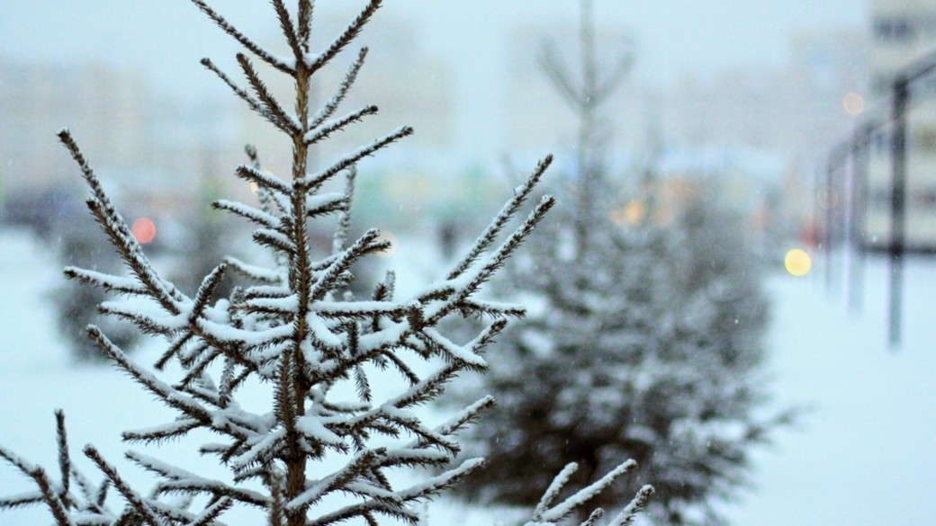 Снег, метели и холод до -9 градусов ожидается в Алтайском крае 27 ноября