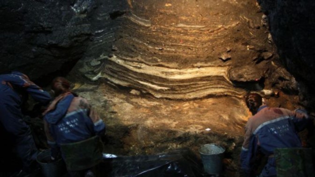 Древнейшие останки денисовцев возрастом 200 тыс. лет обнаружили в Алтайском крае