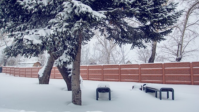 Фото: Екатерина Смолихина / amic.ru