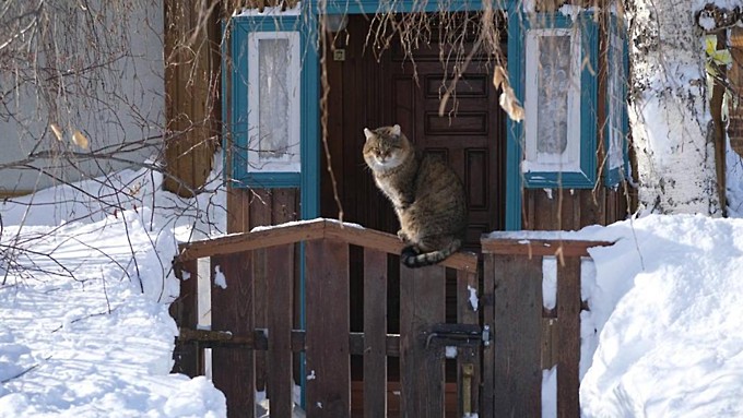 Фото: amic.ru