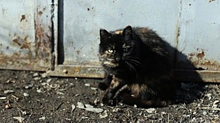Фото: amic.ru