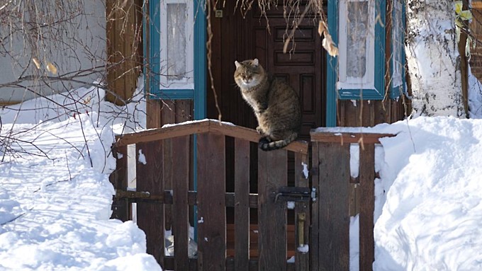 Фото: amic.ru