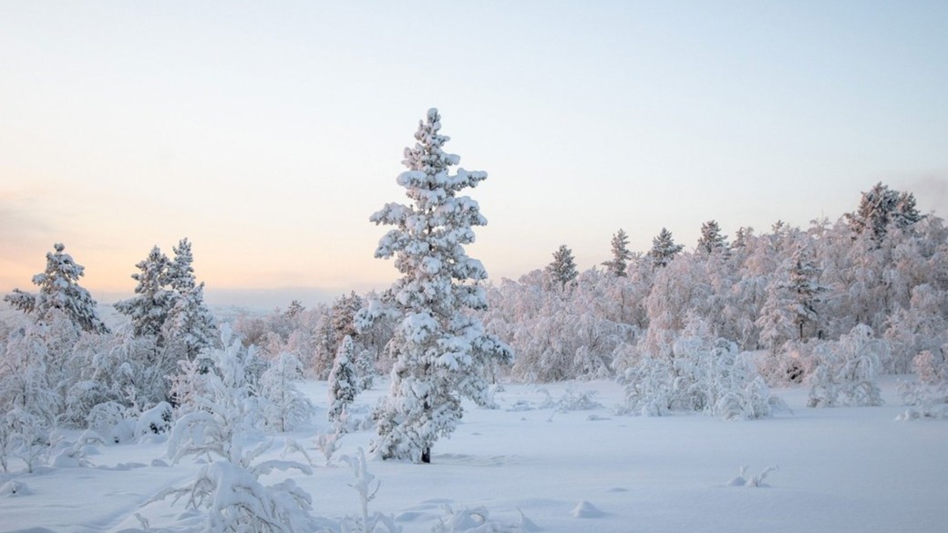 Одевайтесь потеплее. О погоде в Алтайском крае 31 декабря и в новогоднюю ночь