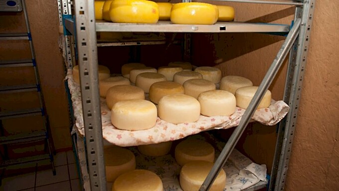 Пищевое производство на Алтае / Фото: Екатерина Смолихина / amic.ru