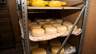 Пищевое производство на Алтае / Фото: Екатерина Смолихина / amic.ru