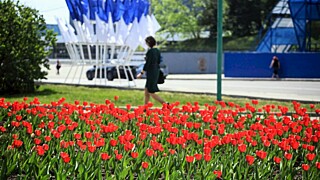 Фото: amic.ru / Екатерина Смолихина